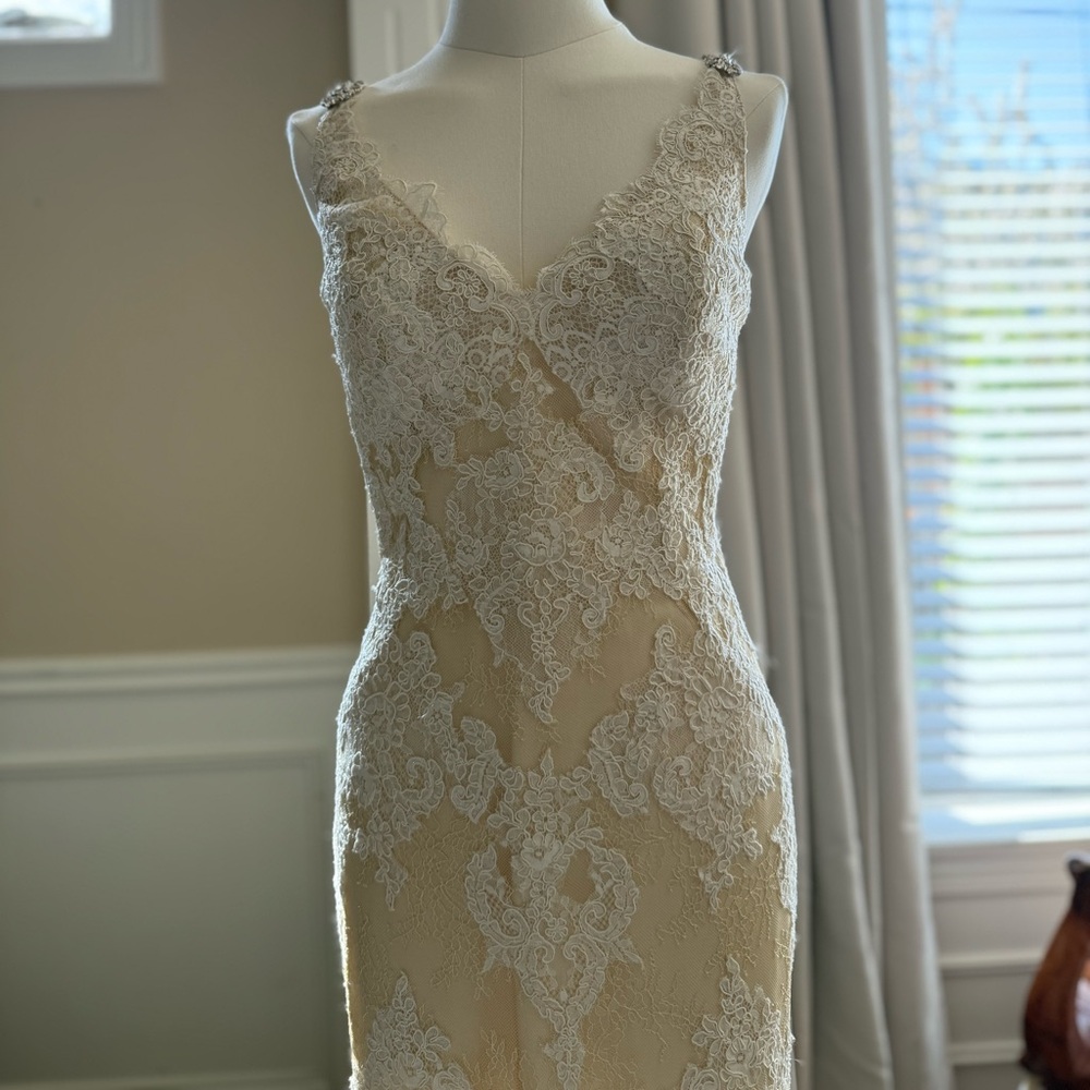 Pronovias Osera Wedding Dress | Elegant Lace Wedding Dress